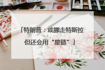 特朗普：或挪走特斯拉 但还会用“星链”
