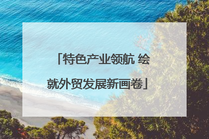 特色产业领航 绘就外贸发展新画卷