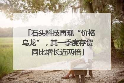 石头科技再现“价格乌龙”，其一季度存货同比增长近两倍