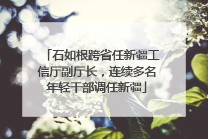 石如根跨省任新疆工信厅副厅长，连续多名年轻干部调任新疆