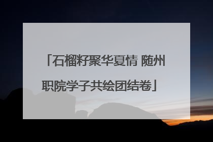 石榴籽聚华夏情 随州职院学子共绘团结卷