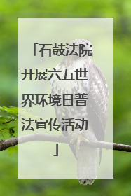 石鼓法院开展六五世界环境日普法宣传活动