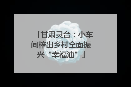 甘肃灵台：小车间榨出乡村全面振兴“幸福油”