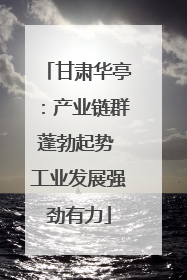 甘肃华亭：产业链群蓬勃起势 工业发展强劲有力