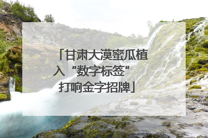 甘肃大漠蜜瓜植入“数字标签” 打响金字招牌