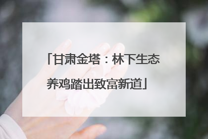 甘肃金塔：林下生态养鸡踏出致富新道