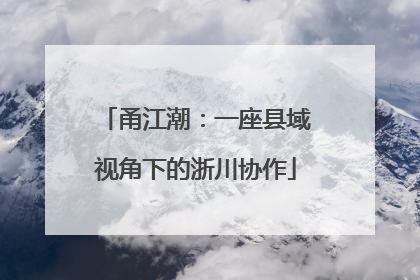 甬江潮：一座县域视角下的浙川协作