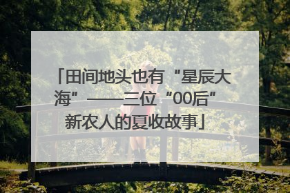田间地头也有“星辰大海”——三位“00后”新农人的夏收故事