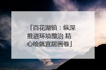 百花湖镇：纵深推进环境整治 精心绘就宜居画卷