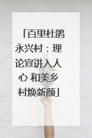 百里杜鹃永兴村：理论宣讲入人心 和美乡村焕新颜