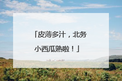 皮薄多汁，北务小西瓜熟啦！