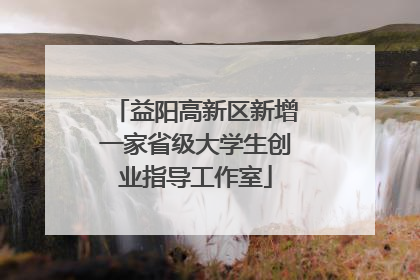 益阳高新区新增一家省级大学生创业指导工作室