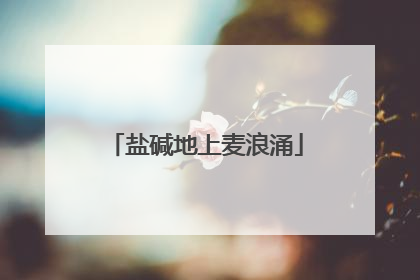盐碱地上麦浪涌