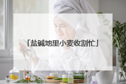 盐碱地里小麦收割忙