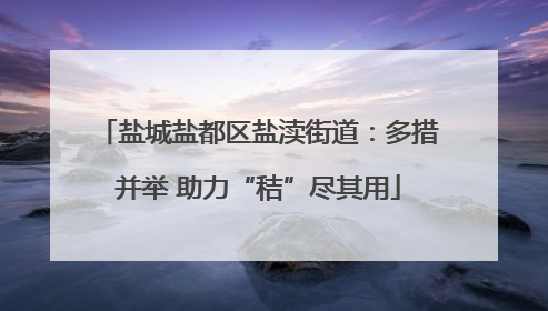 盐城盐都区盐渎街道：多措并举 助力“秸”尽其用