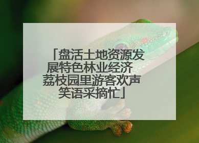 盘活土地资源发展特色林业经济 荔枝园里游客欢声笑语采摘忙