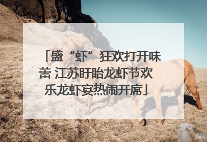 盛“虾”狂欢打开味蕾 江苏盱眙龙虾节欢乐龙虾宴热闹开席