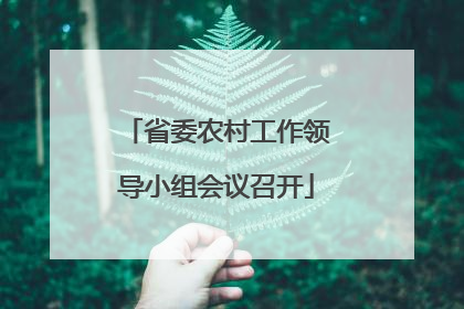 省委农村工作领导小组会议召开