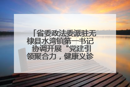 省委政法委派驻无棣县水湾镇第一书记 协调开展“党建引领聚合力，健康义诊惠乡亲”义诊活动
