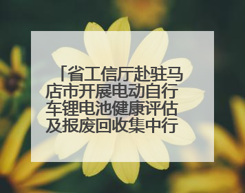 省工信厅赴驻马店市开展电动自行车锂电池健康评估及报废回收集中行动示范点建设调研指导