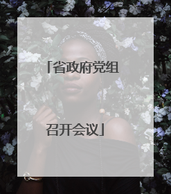 省政府党组召开会议
