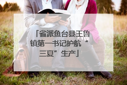 省派鱼台县王鲁镇第一书记护航“三夏”生产