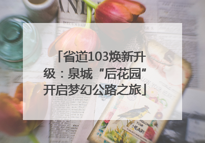 省道103焕新升级：泉城“后花园”开启梦幻公路之旅