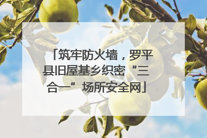 筑牢防火墙，罗平县旧屋基乡织密“三合一”场所安全网
