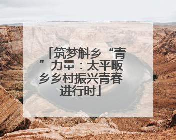 筑梦斛乡“青”力量：太平畈乡乡村振兴青春进行时