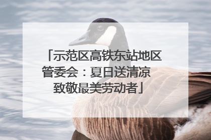 示范区高铁东站地区管委会：夏日送清凉 致敬最美劳动者