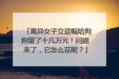 离异女子立遗嘱给狗狗留了十几万元！问题来了，它怎么花呢？