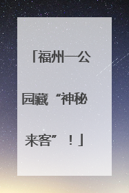 福州一公园藏“神秘来客”！