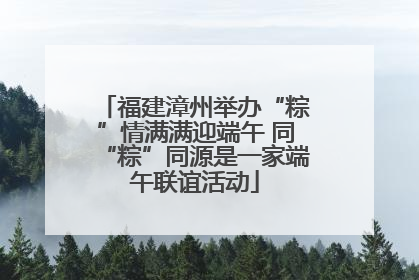 福建漳州举办“粽”情满满迎端午 同“粽”同源是一家端午联谊活动