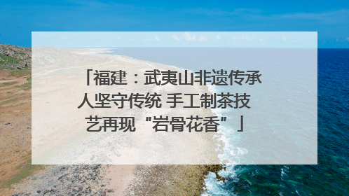 福建：武夷山非遗传承人坚守传统 手工制茶技艺再现“岩骨花香”
