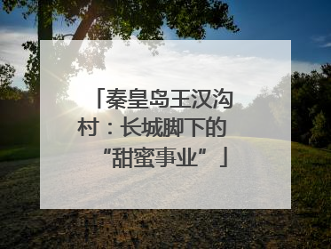 秦皇岛王汉沟村：长城脚下的“甜蜜事业”