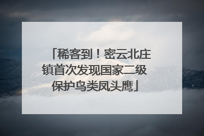 稀客到！密云北庄镇首次发现国家二级保护鸟类凤头鹰