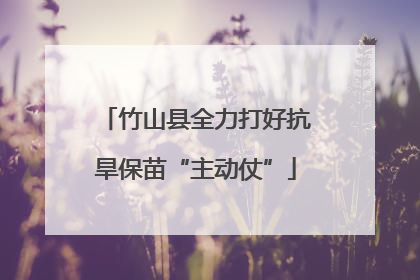 竹山县全力打好抗旱保苗“主动仗”