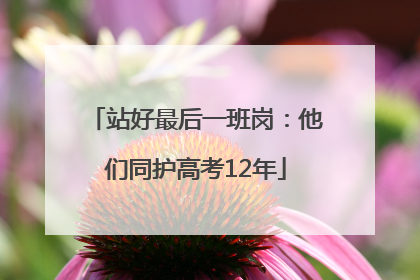 站好最后一班岗：他们同护高考12年