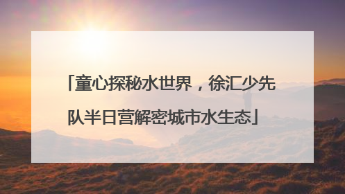 童心探秘水世界，徐汇少先队半日营解密城市水生态