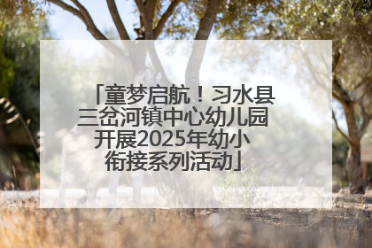 童梦启航！习水县三岔河镇中心幼儿园开展2025年幼小衔接系列活动