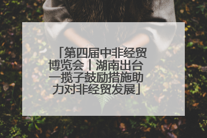 第四届中非经贸博览会丨湖南出台一揽子鼓励措施助力对非经贸发展