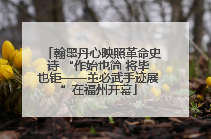 翰墨丹心映照革命史诗 “作始也简 将毕也钜——董必武手迹展”在福州开幕