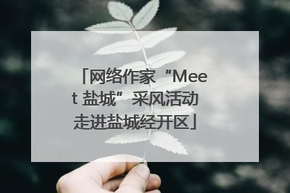 网络作家“Meet 盐城”采风活动走进盐城经开区