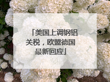 美国上调钢铝关税，欧盟德国最新回应