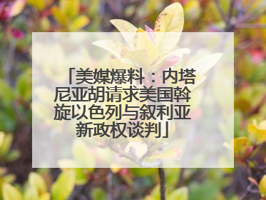 美媒爆料：内塔尼亚胡请求美国斡旋以色列与叙利亚新政权谈判
