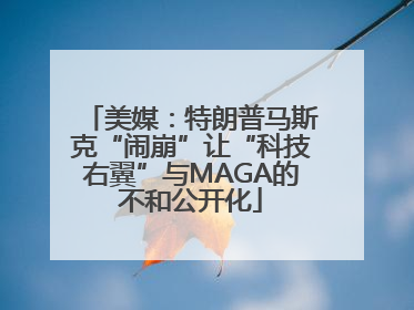 美媒：特朗普马斯克“闹崩”让“科技右翼”与MAGA的不和公开化
