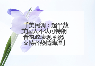 美民调：超半数美国人不认可特朗普执政表现 强烈支持者热情降温