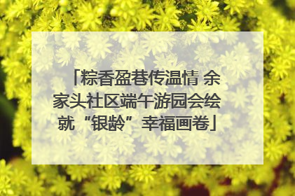 粽香盈巷传温情 余家头社区端午游园会绘就“银龄”幸福画卷