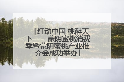 红动中国 桃醉天下——蒙阴蜜桃消费季暨蒙阴蜜桃产业推介会成功举办