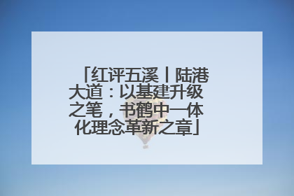 红评五溪丨陆港大道：以基建升级之笔，书鹤中一体化理念革新之章
